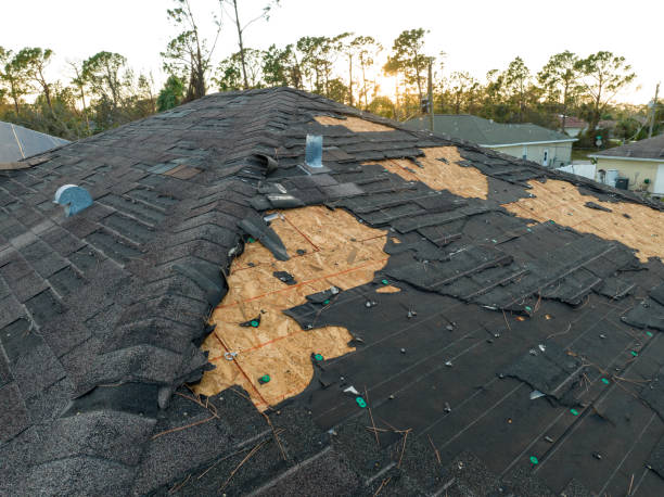 Best Green or Eco-Friendly Roofing Solutions  in Cape Charles, VA